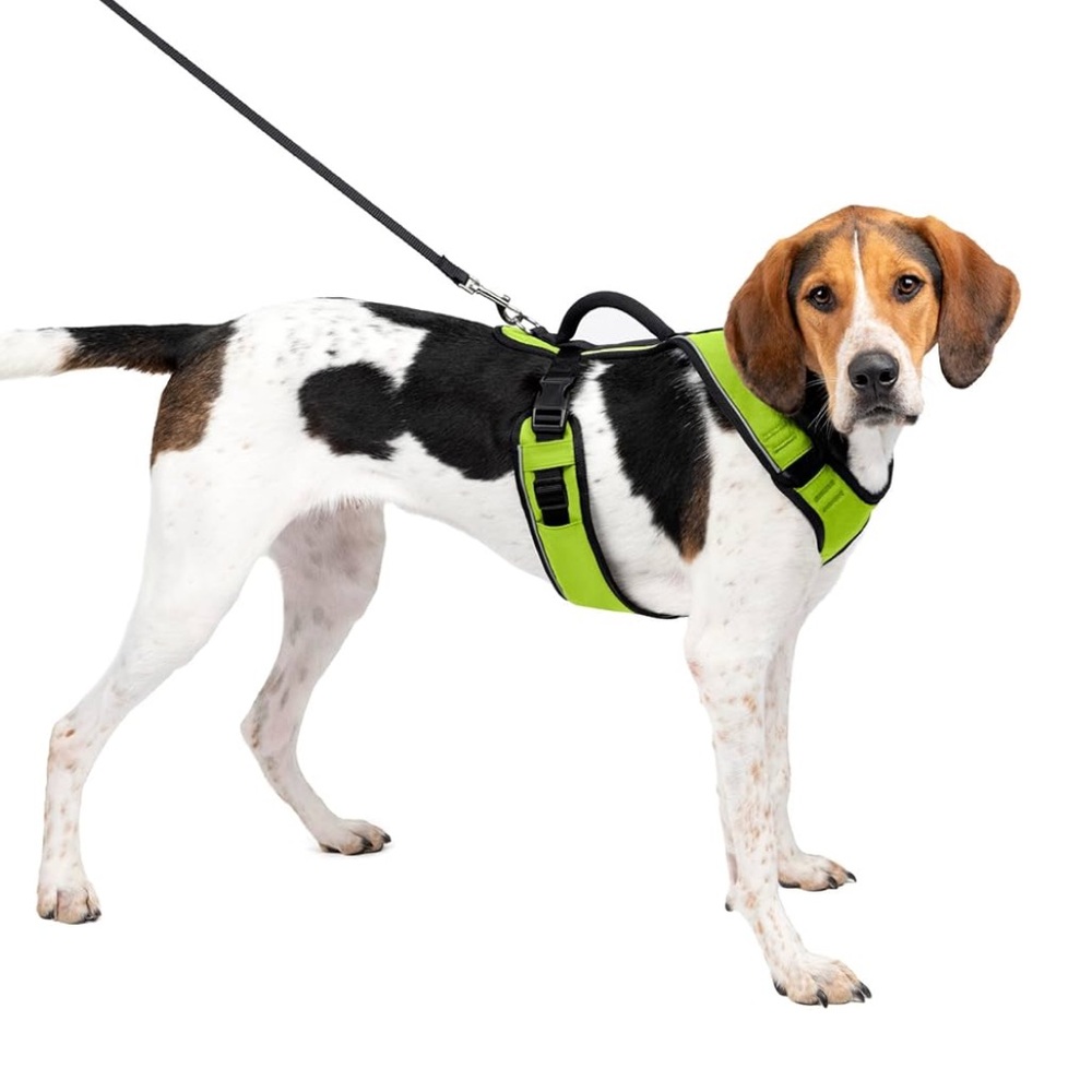 PetSafe EasySport Adjustable Dog Harness w/Control Handle Reflective•Green SizeM